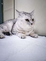 7175