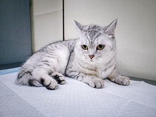7174