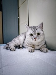7181