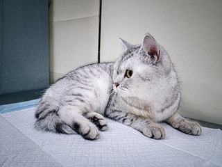 7178