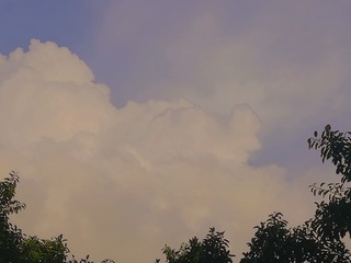 3767218