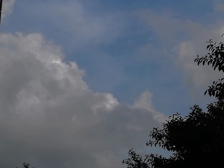 3767205