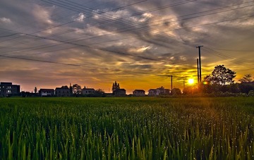 雨后