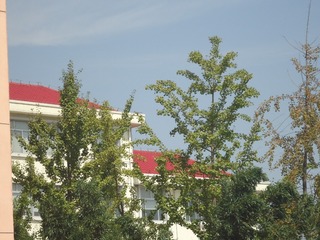 628451