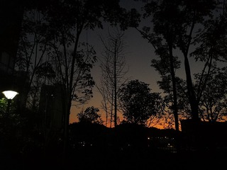 1010621