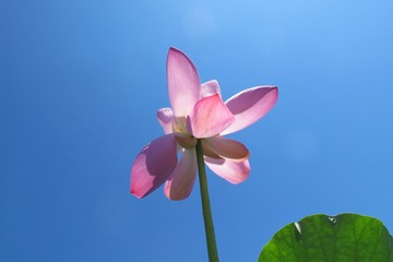68D1D519-5FF2-4399-AD58-59A45467FC19/L0/001
