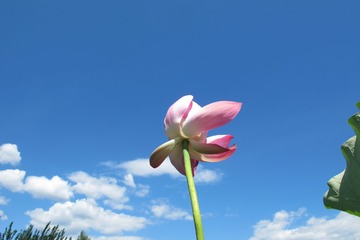 1041317E-B6F4-4D14-814D-CCF39185A742/L0/001