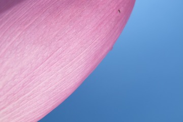 E0CFFFB0-C8DC-4C14-A4D3-ACDCBC3211B2/L0/001