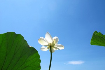 9130017D-B3D8-41B9-91F6-D1435F578BDD/L0/001