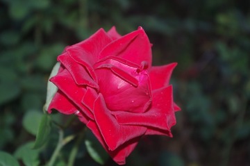 958330