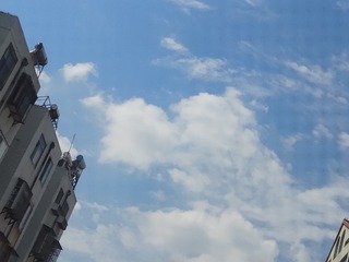 3027661