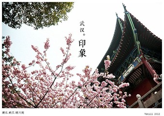 CHU_7880.jpg