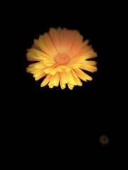 749A03B8-E15D-4D90-B21A-777C522873B1/L0/001