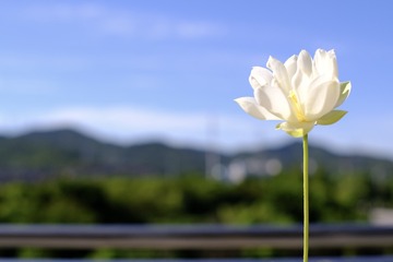 D5800835-DEE5-4C72-98B0-727039DB3CC5/L0/001