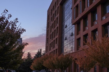 203075