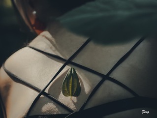 2342401