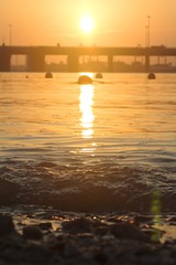 4A7AD8D4-0766-4EA9-9FA9-758FE30CFC7F/L0/001