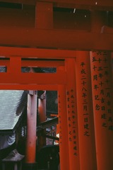 伏见稻荷大社3