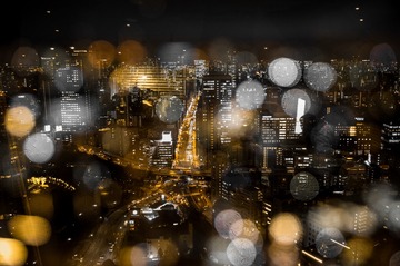 东京塔远眺3