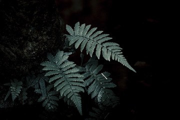 102091