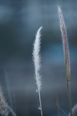 108901