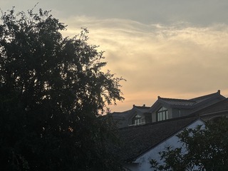 A97D4B08-B57E-497D-AC8C-52876C8F3FFA/L0/001