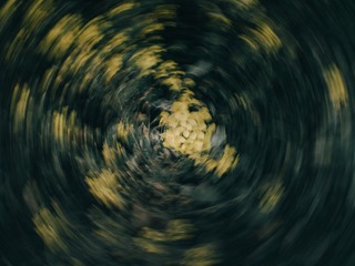 1000177835