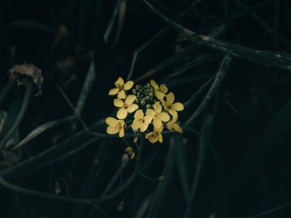 1000177840