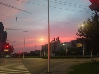 1130913