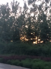 247312
