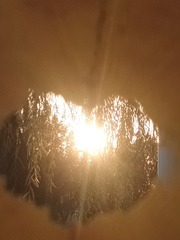 130366