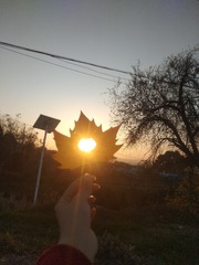130398