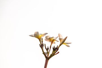 231151