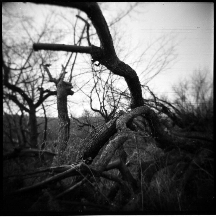 lomo-3<br />
