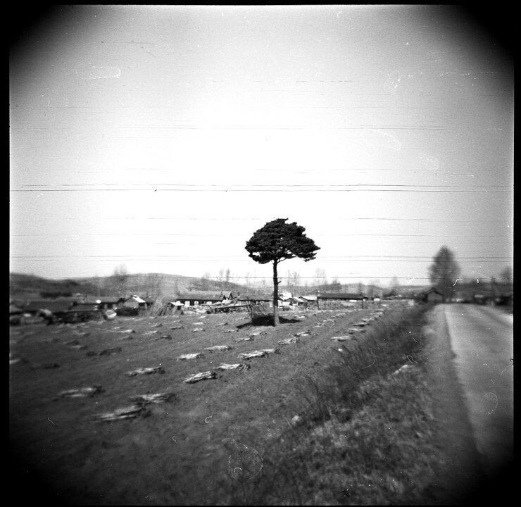 lomo-17<br />
