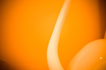 _DSC0588.jpg