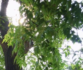 B3FC2397-628E-4467-ABAE-679F76271284/L0/001