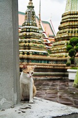 _MG_3586.jpg