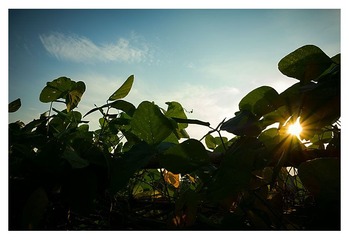 _DSC0626.jpg