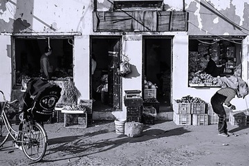 _DSC0796.jpg