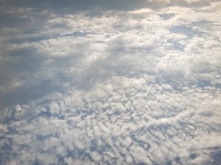 1467419
