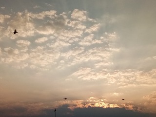 1464604