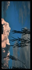 454D1807-9677-444F-8EF2-FF3D8383EAC8/L0/001
