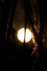 14315787-418E-4280-8E2A-DC1FF2F9B1F6/L0/001