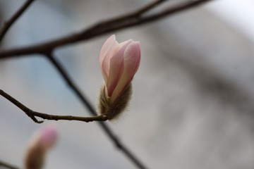 54274E51-1B6C-4269-8162-A4E179DF10F0/L0/001