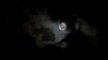 2B32879C-9E89-4B28-B4AC-066DF0B812D2/L0/001