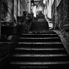 20120214-DSC_0809.jpg