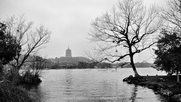 20120215-DSC_0850.jpg