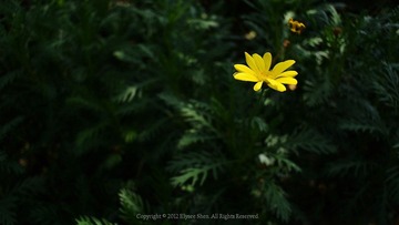 20120614-DSC_2108.jpg