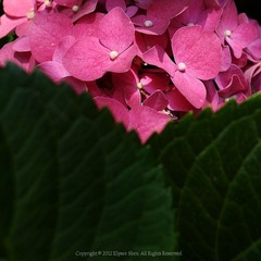 20120614-DSC_2115.jpg
